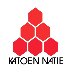 Logo Katoen Natie
